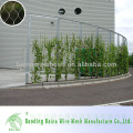 Fornecedor de alibaba china vertical muro de escalada de parede verde / muro de paredes exteriores